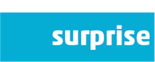 Du betrachtest gerade Ausstellung „surprise“ 